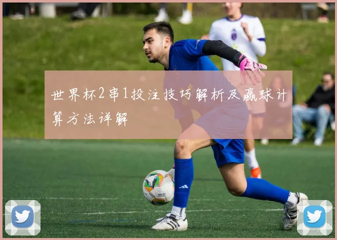 世界杯2串1投注技巧解析及赢球计算方法详解