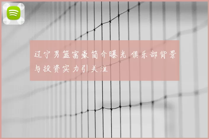 辽宁男篮富豪简介曝光 俱乐部背景与投资实力引关注